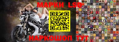 прущие грибы Заводоуковск